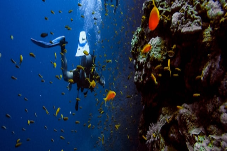 Wintry Mountain Landscape